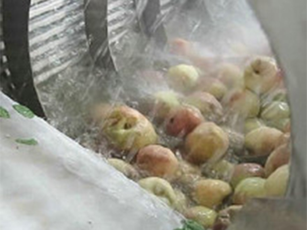 高壓氣泡清洗機(玉米類、果蔬類）
